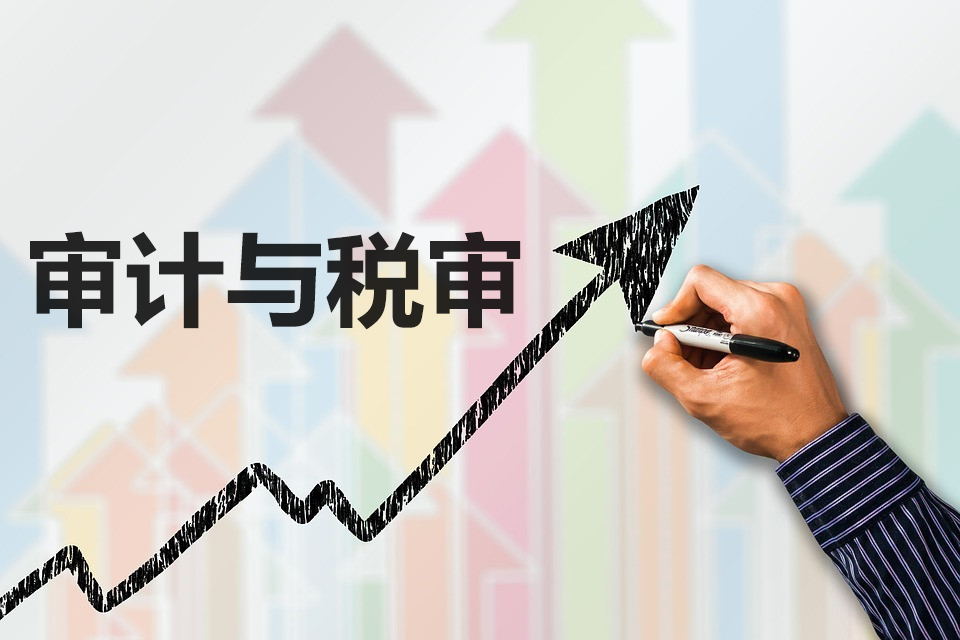 稅審報(bào)告和審計(jì)報(bào)告是什么？對(duì)企業(yè)有什么好處？?jī)烧哂惺裁磪^(qū)別