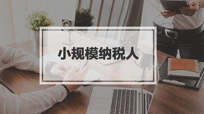 小規(guī)模納稅人有銷無進，未提供任何進項將要嚴查！